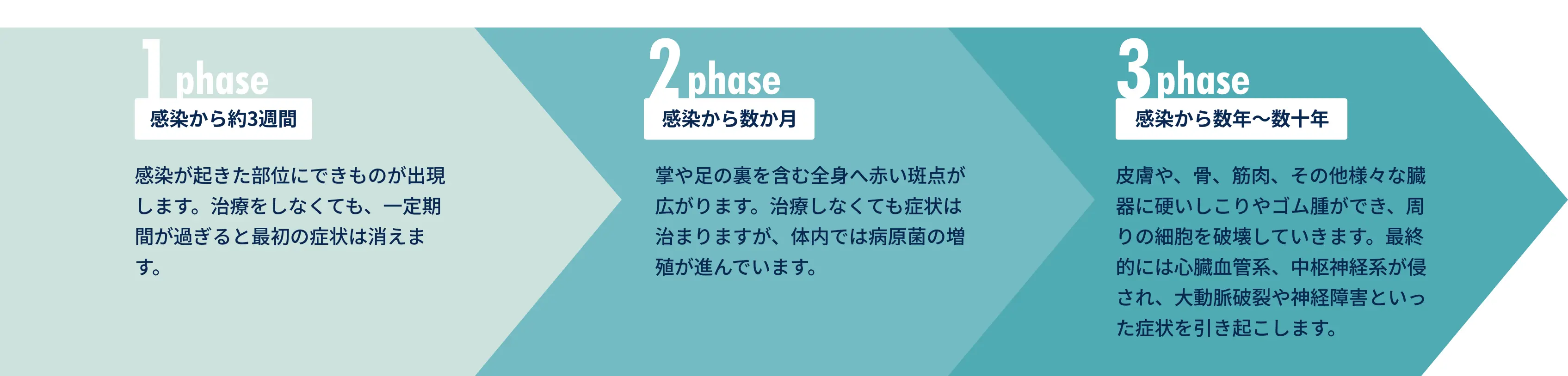 感染からのフェーズ