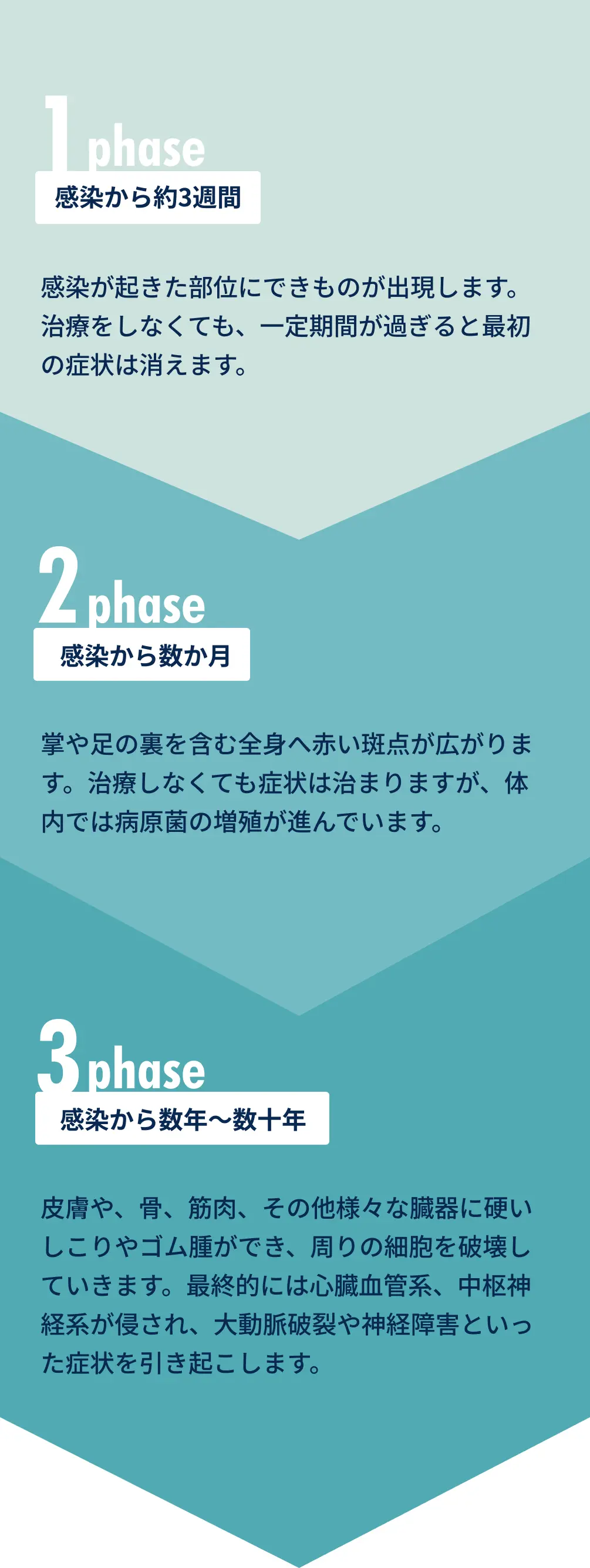 感染からのフェーズ