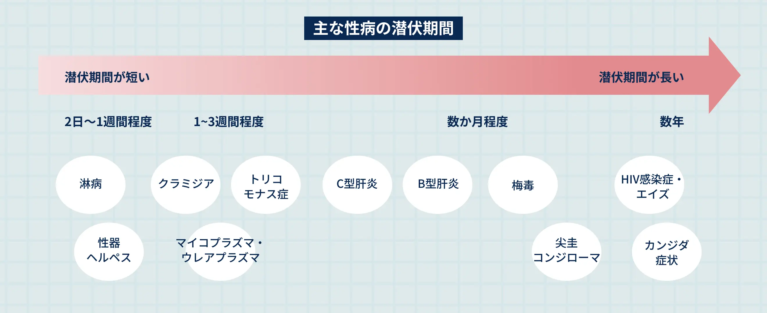 主な性病の潜伏期間
